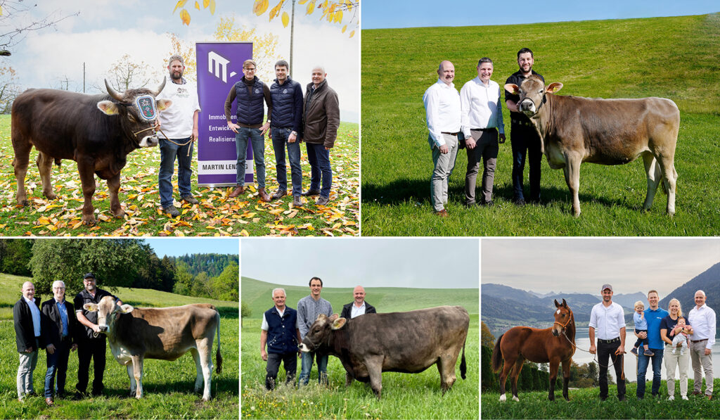 Medienmitteilung Das sind die stolzen Lebendpreise für das ISAF 2024 in Menzingen
