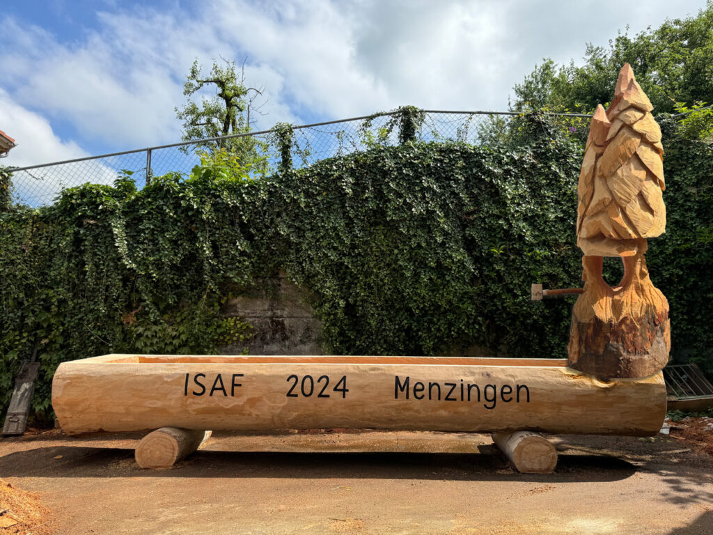 Tannen-Brunnen ISAF2024 Brunnenversteigerung Ricardo.ch