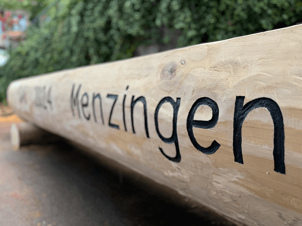 Tannen-Brunnen ISAF2024 Brunnenversteigerung Ricardo.ch