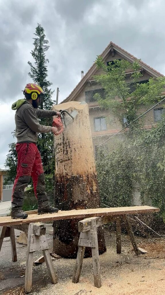 Trychler-Brunnen ISAF2024 Brunnenversteigerung Ricardo.ch